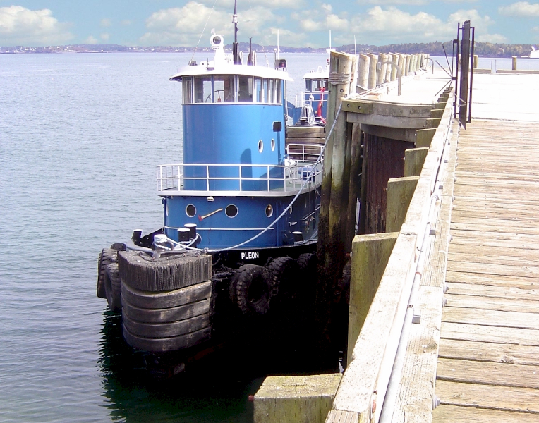 blue-tug-boat-in-eastport
